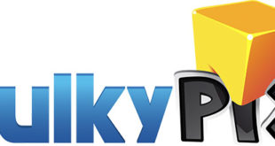 bulkypix-bancarrota-1