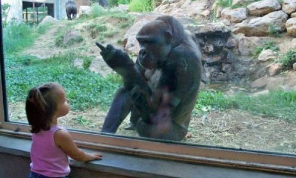 ZeniMax solicita la retirada de las Oculus con c&oacute;digo robado